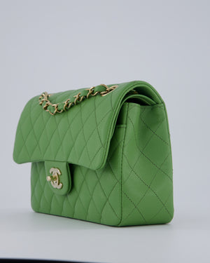 Chanel Apple Green Small Classic Double Flap Bag in Caviar Leather with Champagne Gold Hardware