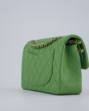 Chanel Apple Green Small Classic Double Flap Bag in Caviar Leather with Champagne Gold Hardware