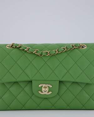Chanel Apple Green Small Classic Double Flap Bag in Caviar Leather with Champagne Gold Hardware