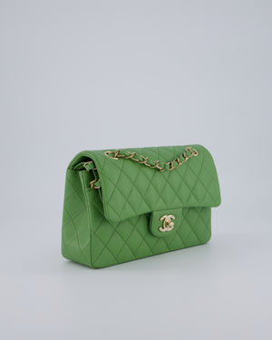 Chanel Apple Green Small Classic Double Flap Bag in Caviar Leather with Champagne Gold Hardware