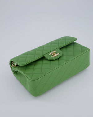Chanel Apple Green Small Classic Double Flap Bag in Caviar Leather with Champagne Gold Hardware