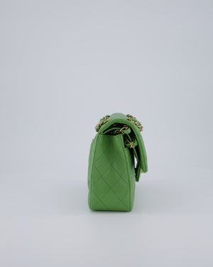 Chanel Apple Green Small Classic Double Flap Bag in Caviar Leather with Champagne Gold Hardware