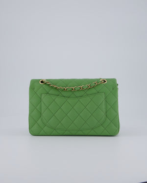 Chanel Apple Green Small Classic Double Flap Bag in Caviar Leather with Champagne Gold Hardware