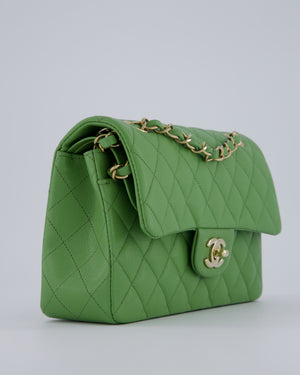 Chanel Apple Green Small Classic Double Flap Bag in Caviar Leather with Champagne Gold Hardware