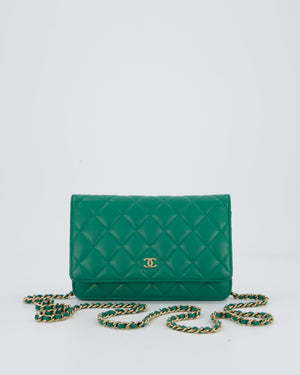 Chanel Green Wallet on Chain Bag with CC Logo in Lambskin Leather with Champagne Hardware