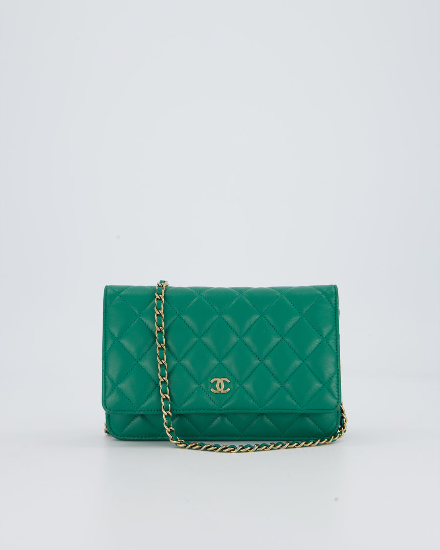 Chanel Green Wallet on Chain Bag with CC Logo in Lambskin Leather with Champagne Hardware