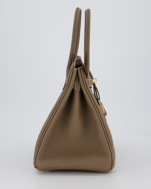Hermès Birkin 30 Retourne Bag in Etoupe Veau Togo Leather with Gold Hardware