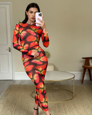 Louisa Ballou Red Mesh Maxi Dress  Size S (UK 8-10)