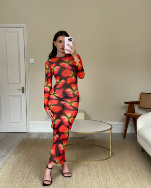 Louisa Ballou Red Mesh Maxi Dress  Size S (UK 8-10)