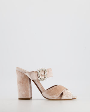 Tabitha Simmons Pale Pink Velvet Mule Heels with Embellished Buckle Detail Size EU 39.5