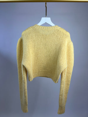 Alessandra Rich Yellow Long-Sleeve Cropped Sweater with Flower Detail IT 38 (UK 6)